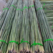 旗杆竹竿菜园搭架小竹杆棍2米植物爬藤架竹梢支架蔬菜黄瓜豆
