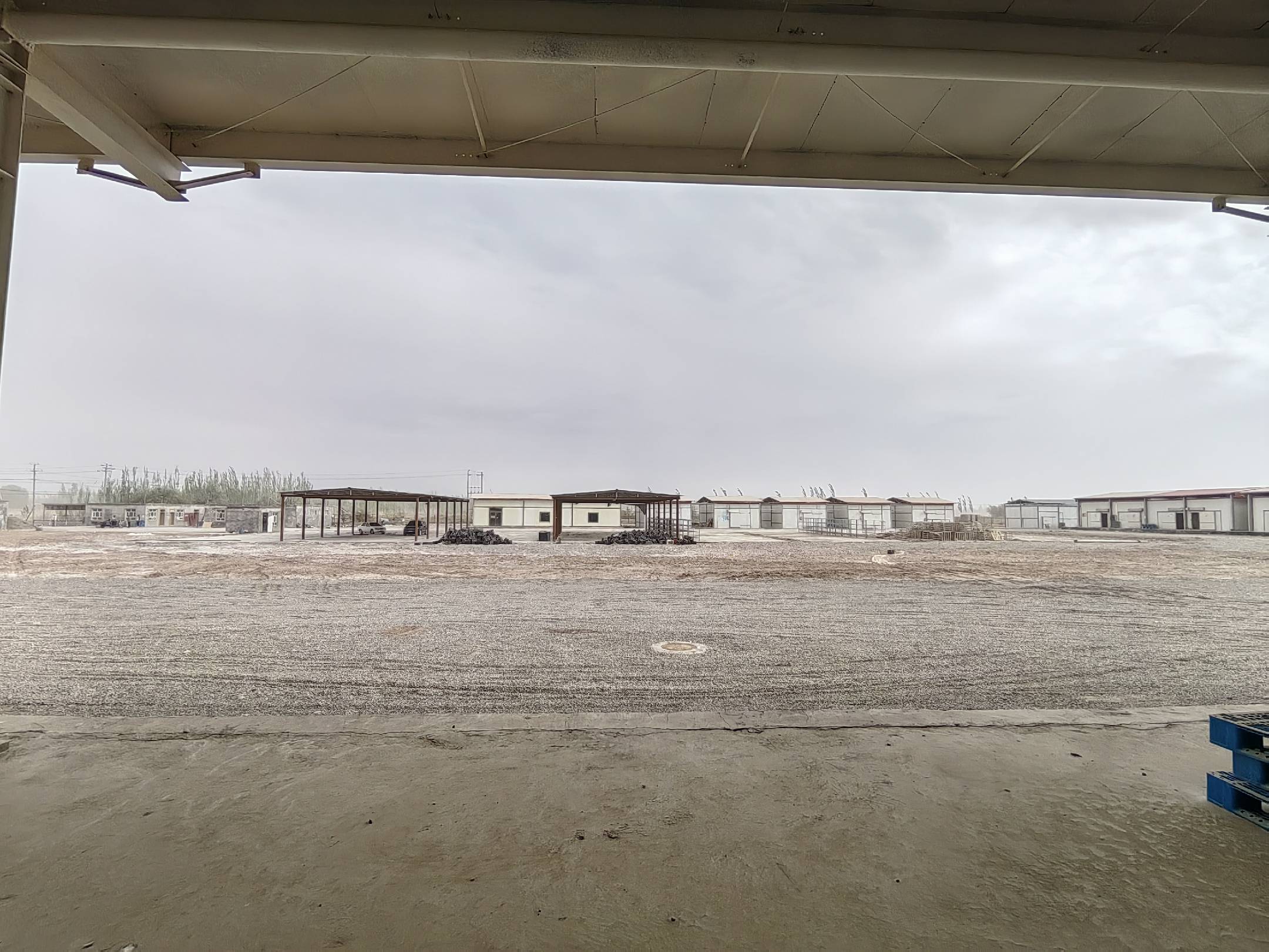 新疆伽师县伽师瓜种植基地实景图,展示瓜田风貌与自然环境 新疆伽师县伽师瓜种植基地
