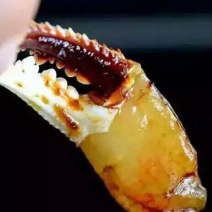 醉蟹钳、麻辣蟹钳、泡胶鱼皮、麻辣小海鲜