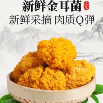 金耳鲜货，干货。
