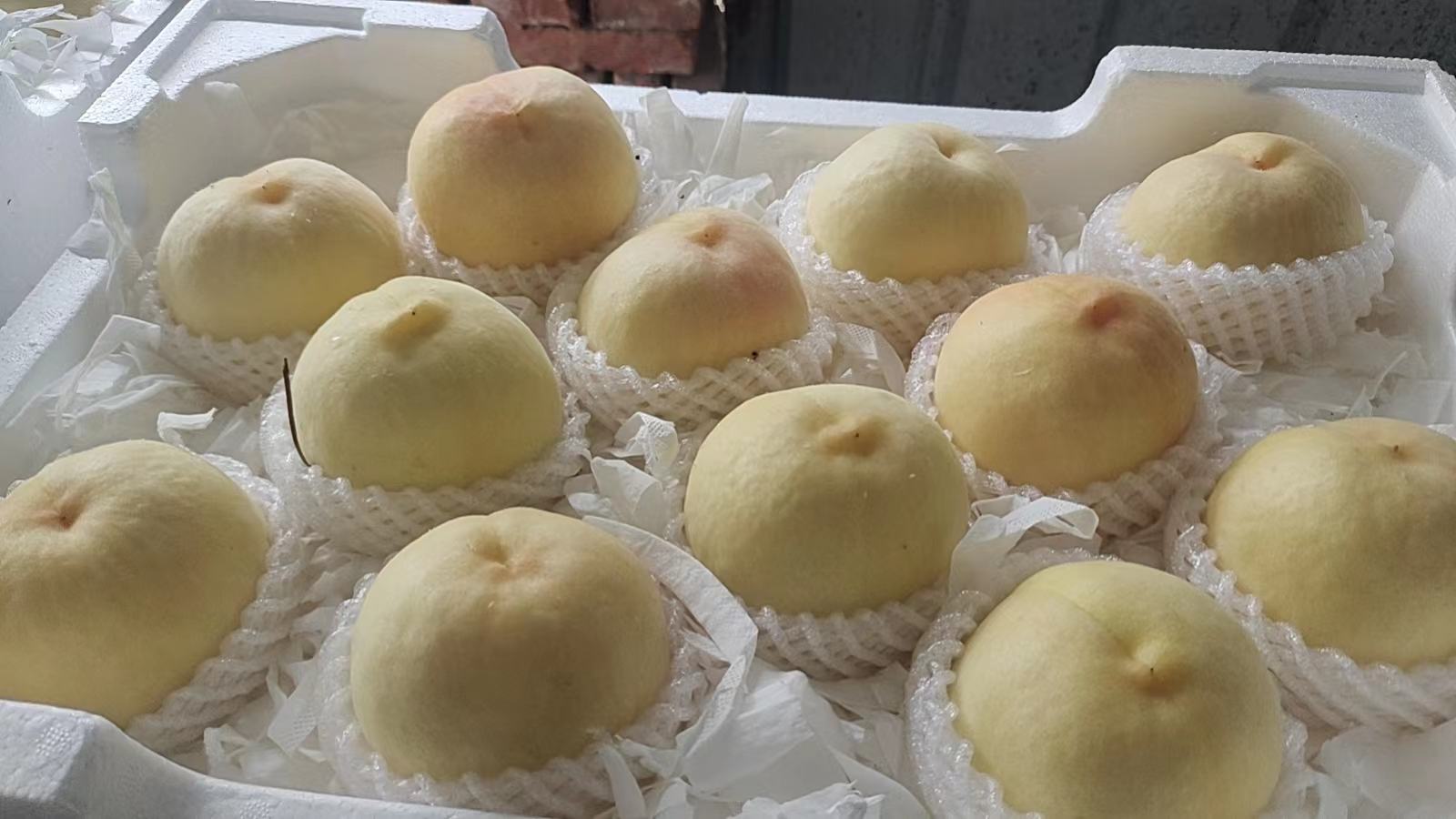 套袋美早樱桃在包装盒中整齐摆放