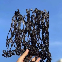 渤海湾长岛天然紫菜野生紫菜手工挑拣自然晾晒鲜美嫩滑
