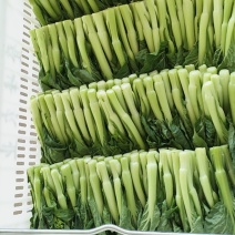 白菜苔秋香