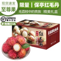 海南红毛丹/海南保亭红毛丹7号果/红毛丹/顺丰空运包邮