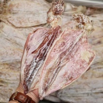 鱿鱼干等级货，颜色暗色一些，厚肉香味浓，规格齐全