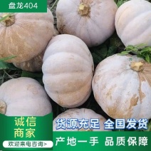 盘龙204南瓜磨盘南瓜2022南瓜超市团购电商南瓜