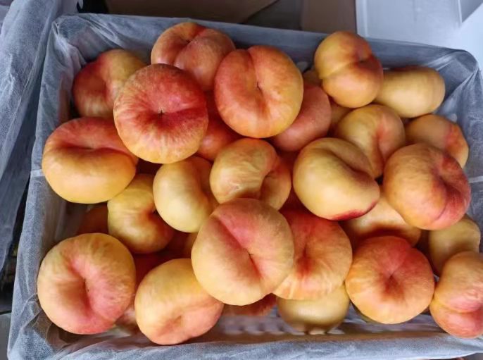 实验室营养成分检测对比图