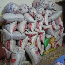 油菜籽，有4万5000斤左右。欢迎来电咨询
