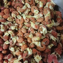 精品特级龙虾尾