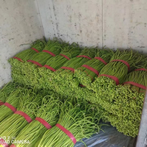 精品蔬菜