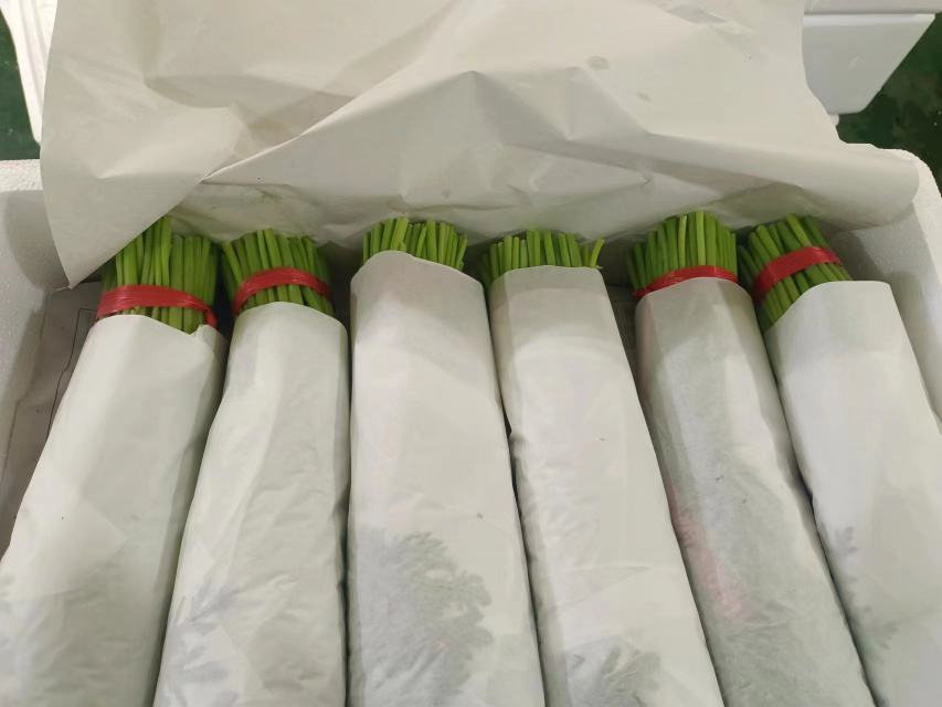细叶茼蒿净菜包装展示