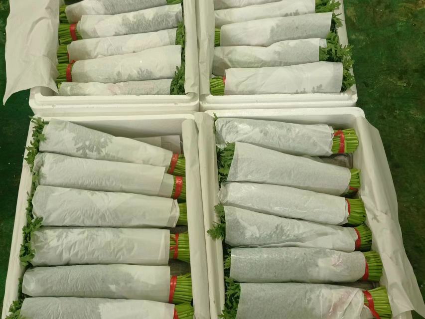 小叶茼蒿在超市货架上的陈列展示