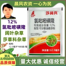 莎阔兵氯吡嘧磺隆水稻阔叶杂草莎草香附子烂根除