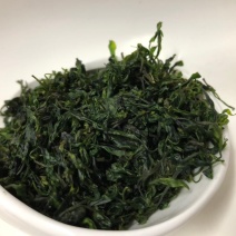 小叶苦丁茶新货正宗小叶苦丁茶叶青山绿水嫩芽苦丁茶花草茶