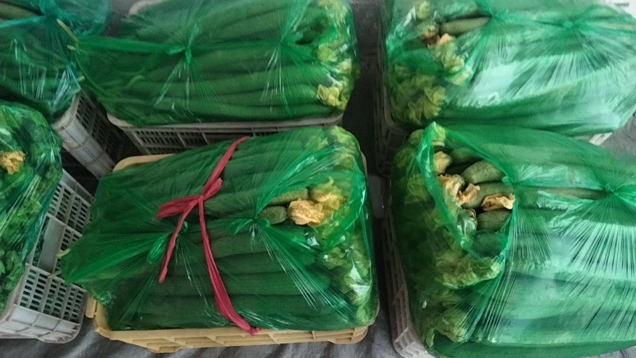 一盘清炒丝瓜被放入透明保鲜盒中，正在放进家用冰箱冷藏室，冰箱内光线明亮，周围有其他蔬菜容器