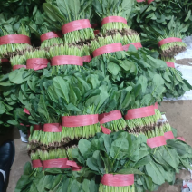 精品蔬菜