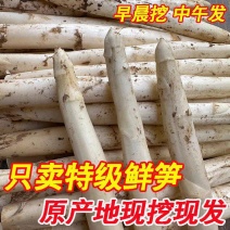 白芦笋芦笋白芦笋农家种植现摘发货商超电商一件代发质量保证