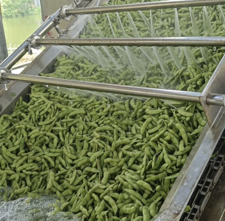 毛豆清洗过程展示 毛豆清洗过程