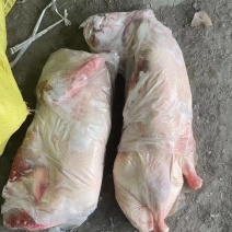 次二级白条鸭