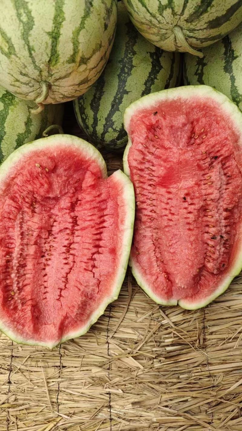 [金城5号西瓜批发]双红金成五价格0.60元/斤 - 一亩田