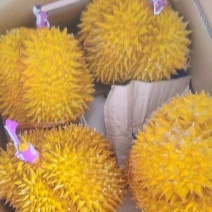 榴莲