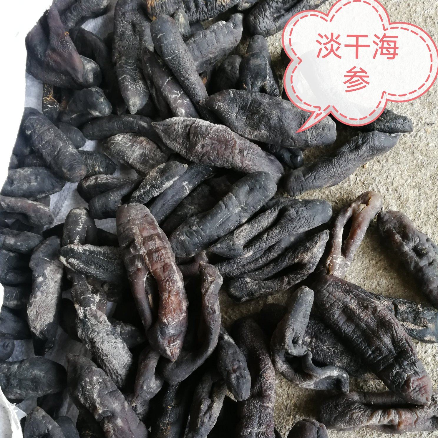 [乌参批发]山东枣庄滕州市海参 92.00元/斤纯干茄参 海番薯 _ 一亩田