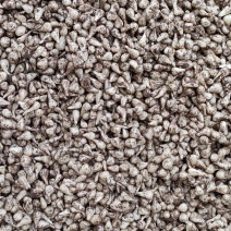 藠头