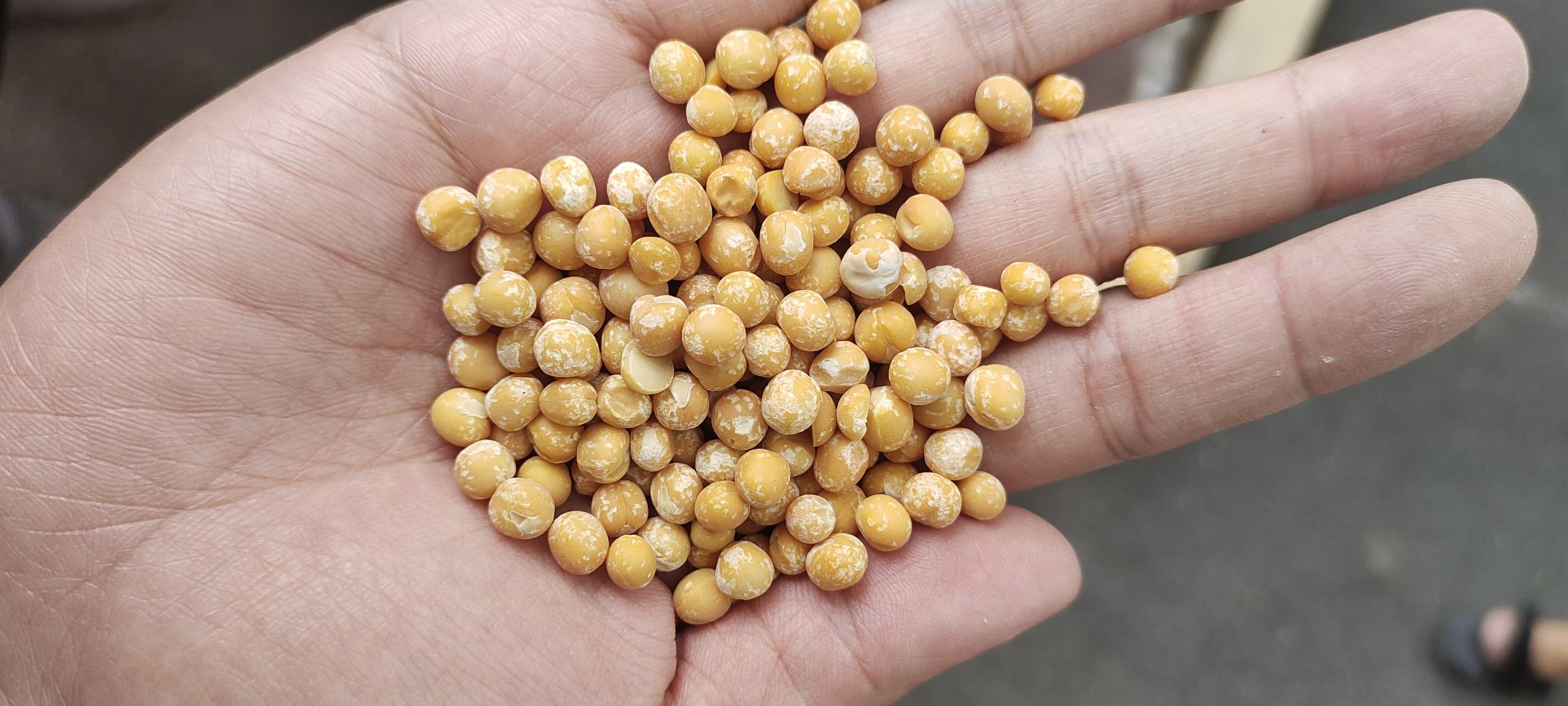 豆浆制作流程对比图