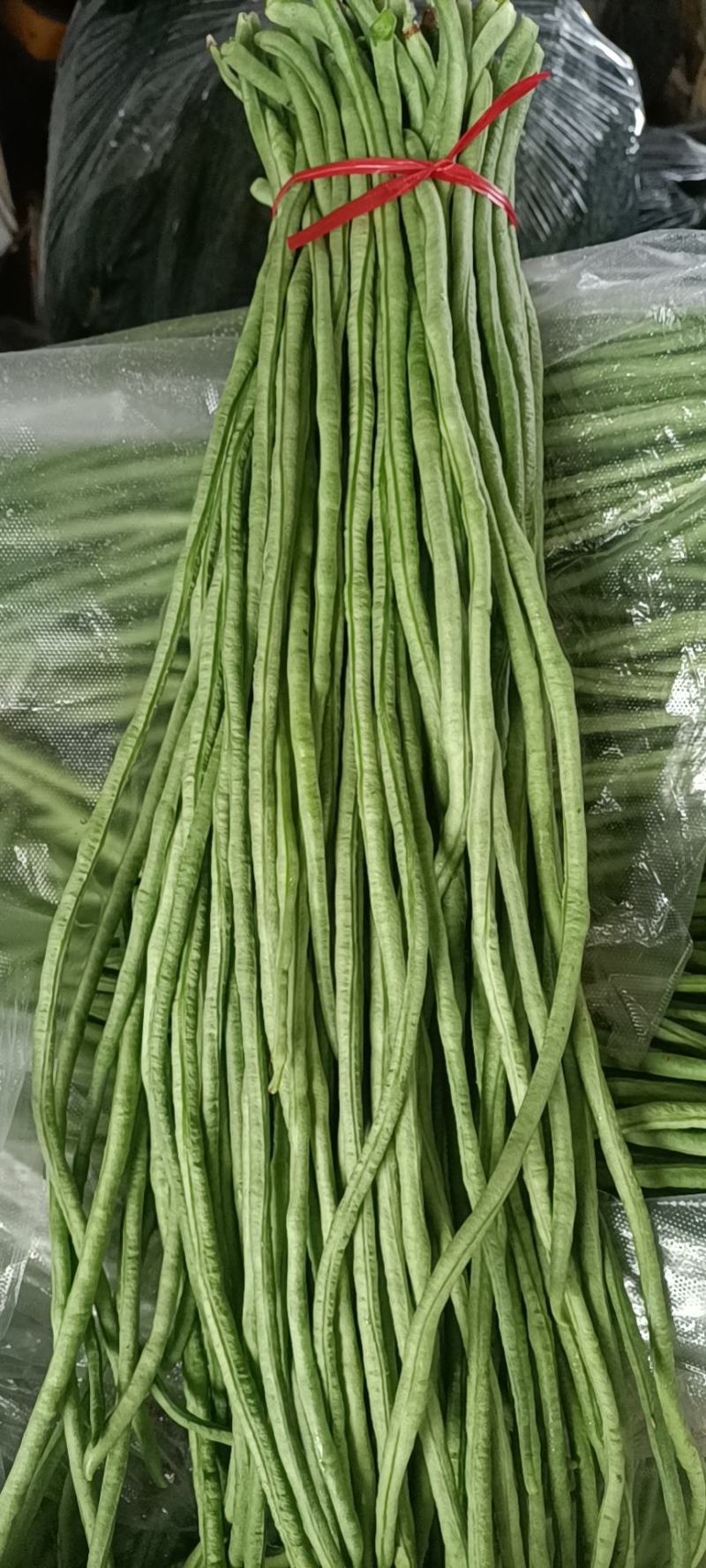 优质长豆角豇豆大量上市产地直发欢迎各位老板致电选购