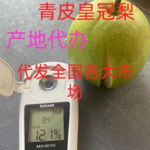 砀山精品青皮皇冠梨，对接电商平台，各大水果交易市场