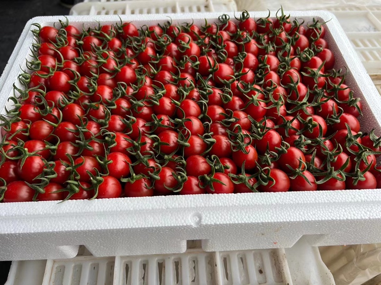 家庭厨房中冷冻圣女果存储示意图