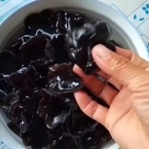 大家好，新木耳，圆边菜形，无根肉厚，现货产地直发