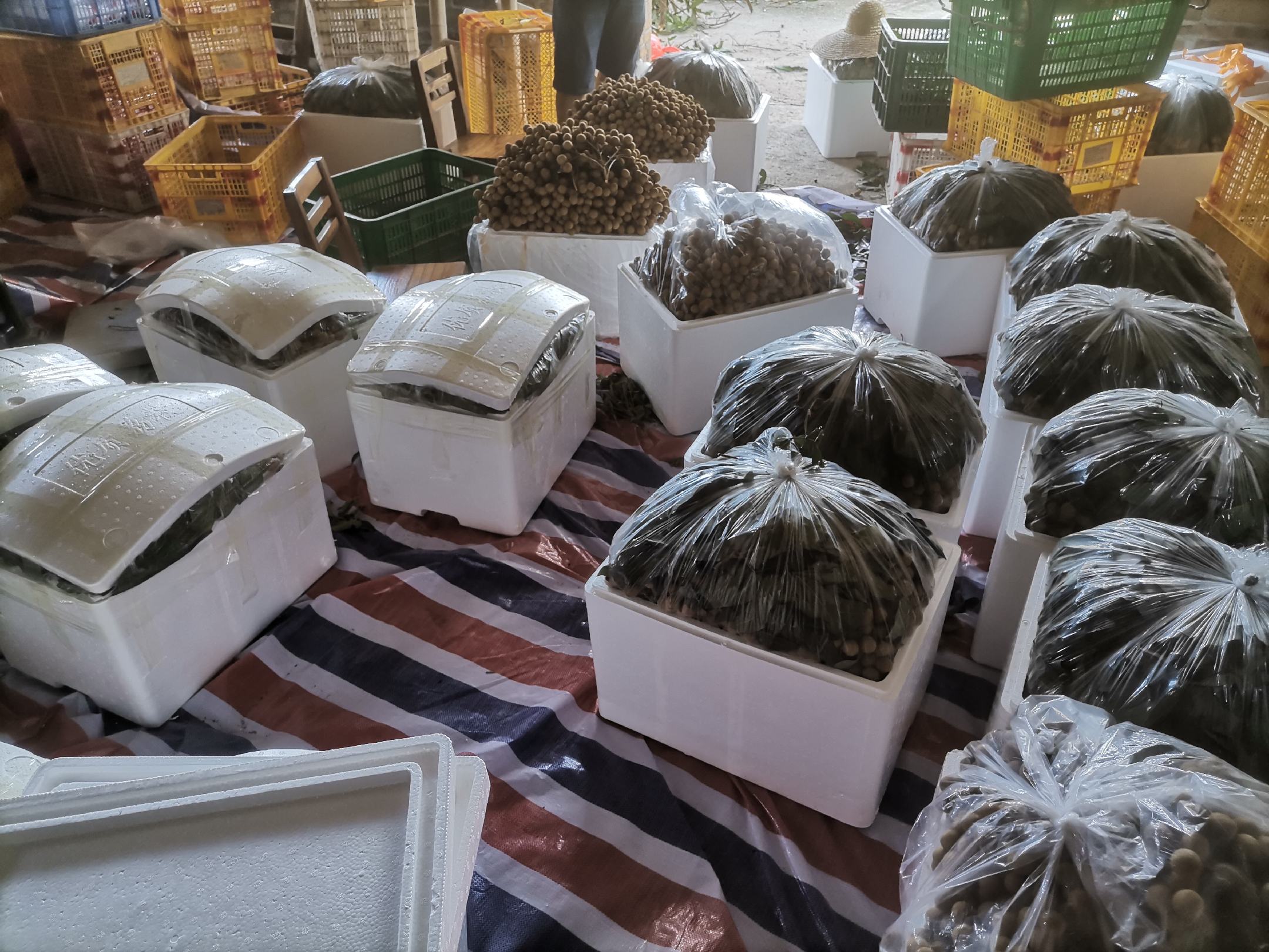 石硖龙眼在不同销售渠道中的销售场景照片