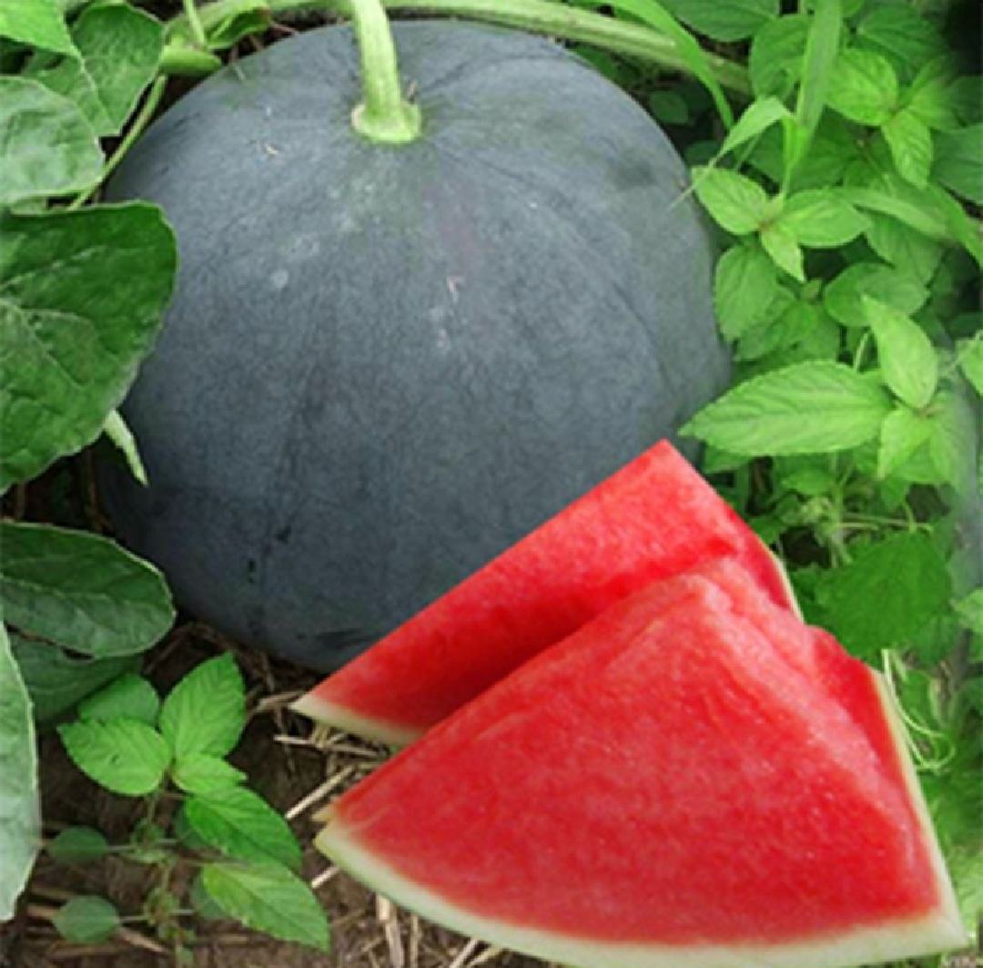 商超陈列与礼盒包装