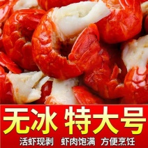 小龙虾尾小龙虾5斤鲜活整箱非无冰1斤商用冷冻虾尾批发网红