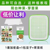 豆芽发芽盆芽苗菜育苗托盘无土栽培水培蔬菜设备豌豆种植芽菜