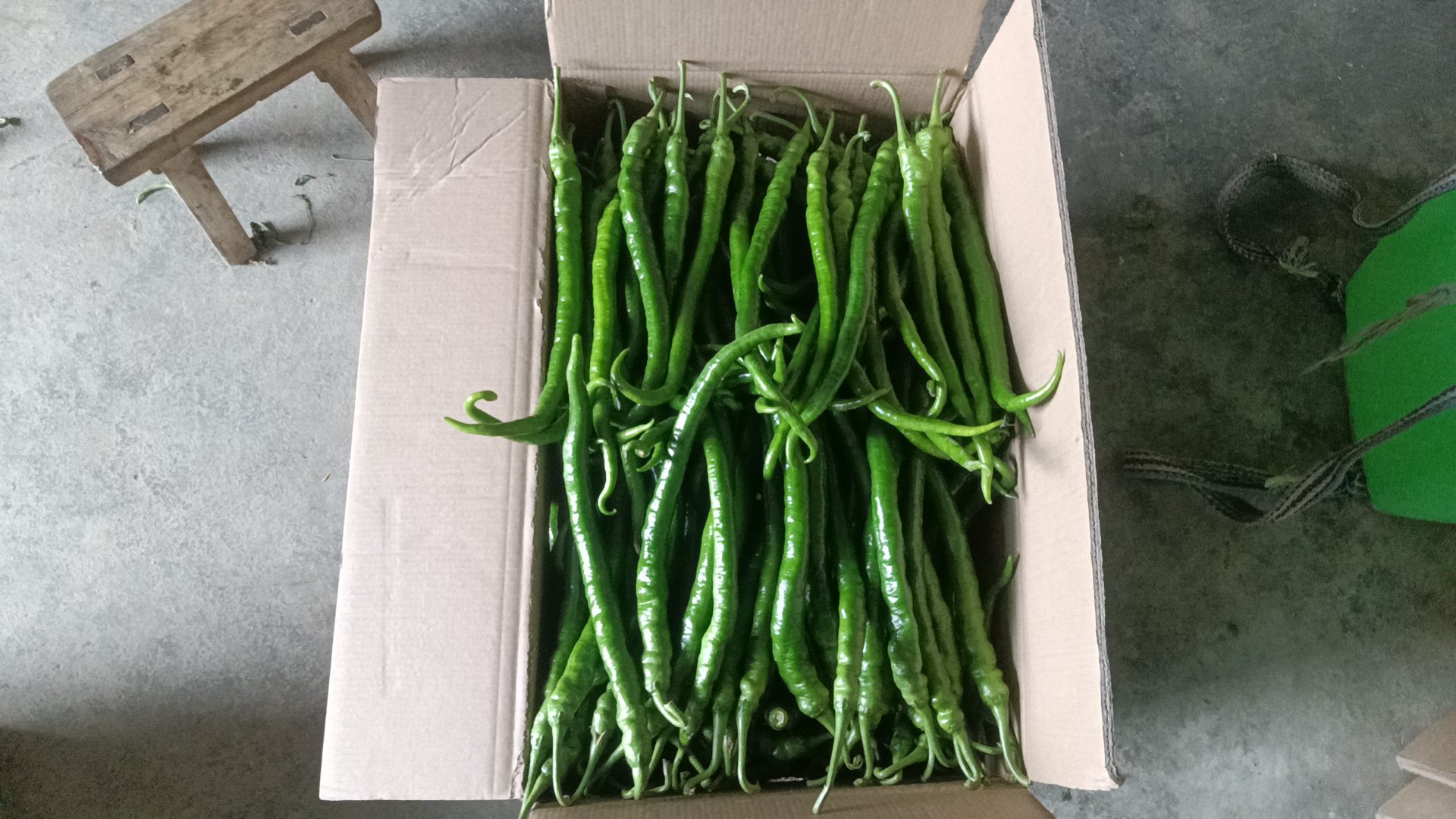 一个明亮的家庭厨房台面上,透明玻璃容器中整齐码放着洗净的新鲜线椒,旁边是切好的线椒圈与密封罐装的油浸线椒,背景中有冰箱门半开,展示内部存放的保鲜盒 家庭厨房中线椒的储存与处理方式