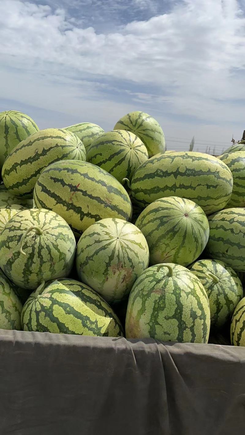 宁夏硒砂瓜小薄皮大红瓤