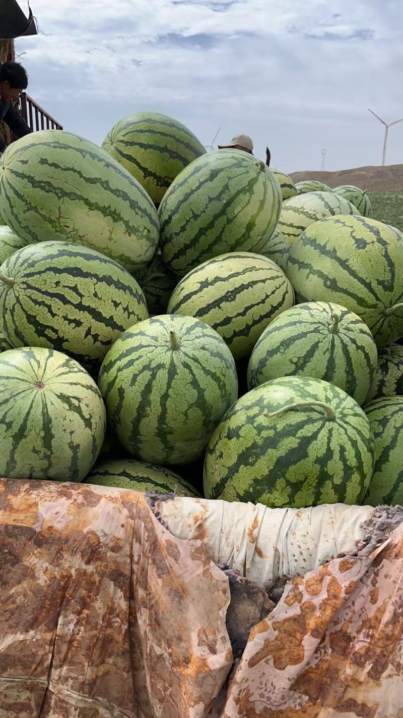 宁夏硒砂瓜小薄皮大红瓤