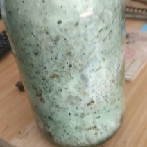 金针菇菌包、真姬菇菌包、鸡腿菇菌包、灰树花菌包、平菇菌包