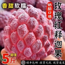 玫瑰红释迦果/5斤新鲜释迦/番荔枝/佛头牟尼果/玫瑰释迦