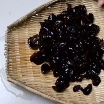 大家好新耳大量上市，现货产地直发，圆边菜，无根肉厚，