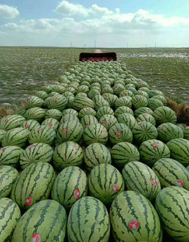 宁夏石头瓜大量上市产地直发包熟包甜耐运输