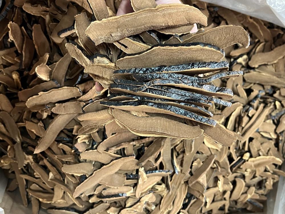 左侧为优质天然灵芝切片,呈棕褐色至深红棕色,表面有明显环状纹理和光泽;右侧为假冒灵芝切片,颜色均匀暗淡,无自然纹理,边缘整齐如模具压制,可能是木屑加胶合成品 真假灵芝切片对比图