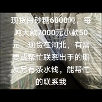 优级白沙糖