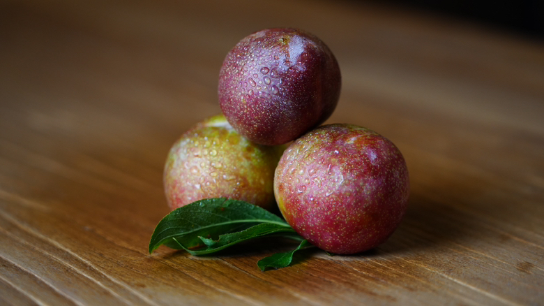 一只手正在将桃形李依次放入透明玻璃罐中,另一只手撒入晶莹的冰糖颗粒,展示分层叠加的过程,背景为浅色木纹桌面,光线柔和 桃形李分层装入玻璃罐过程图