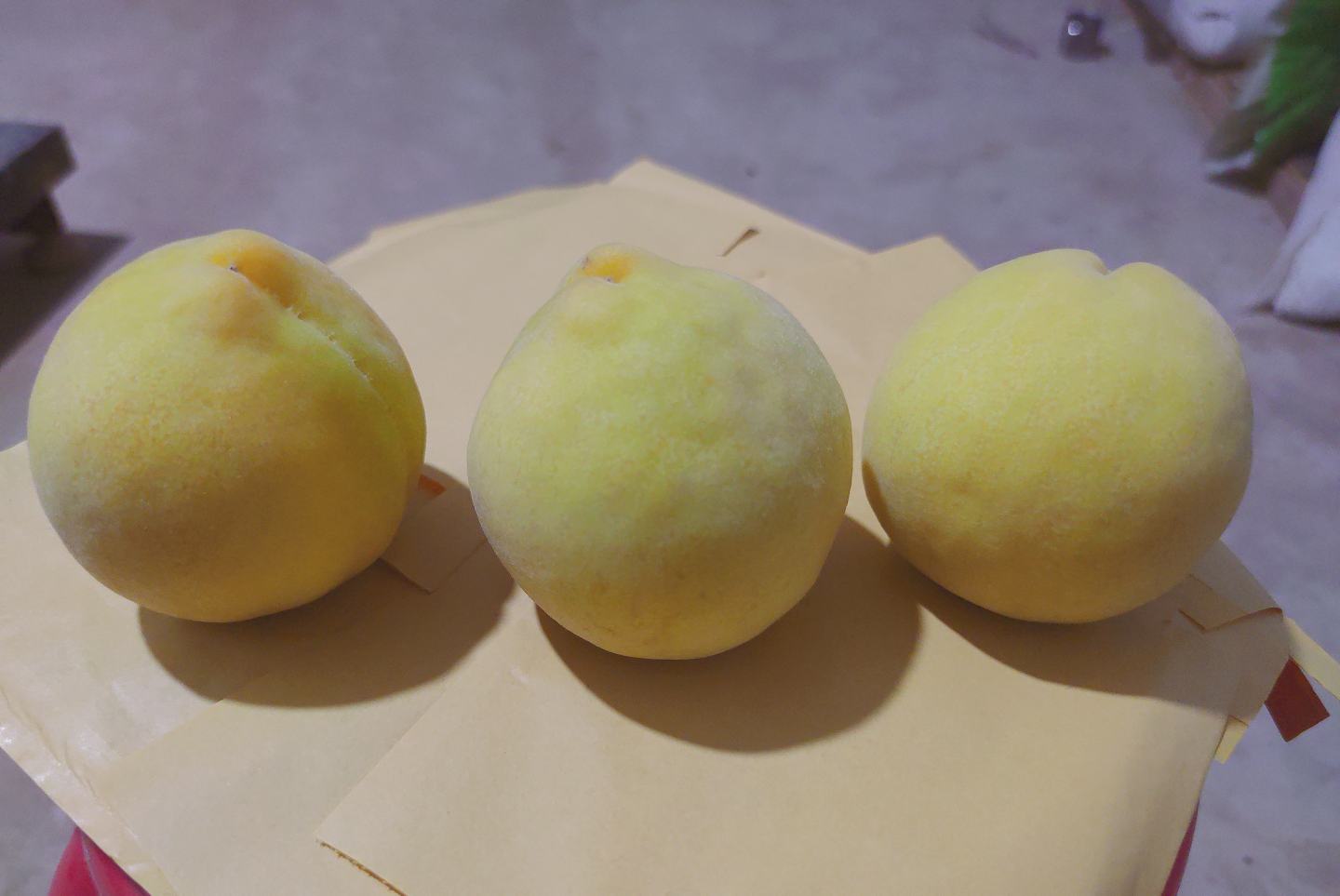 果农采摘炎陵黄桃特写