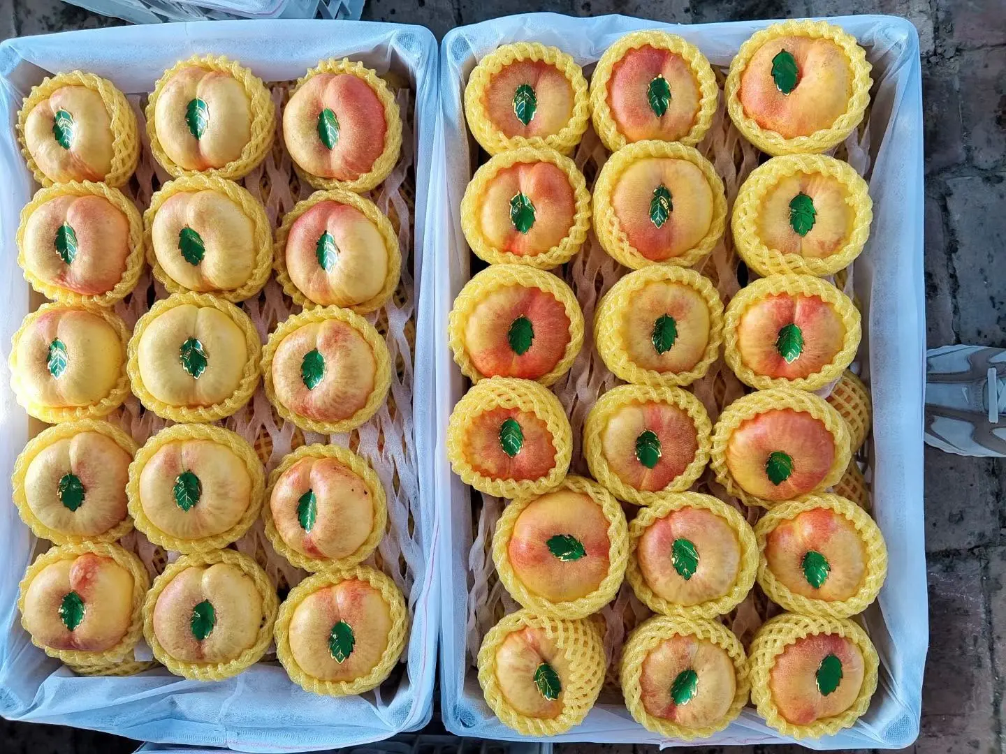 超市水果区陈列整齐的新鲜蟠桃,装在透明塑料盒中,标签注明‘脆甜蟠桃·硬肉型’‘产地:山东蒙阴’‘净重:500g’,旁边配有价格牌和促销信息,体现商品化流通场景 超市货架上的新鲜蟠桃展示