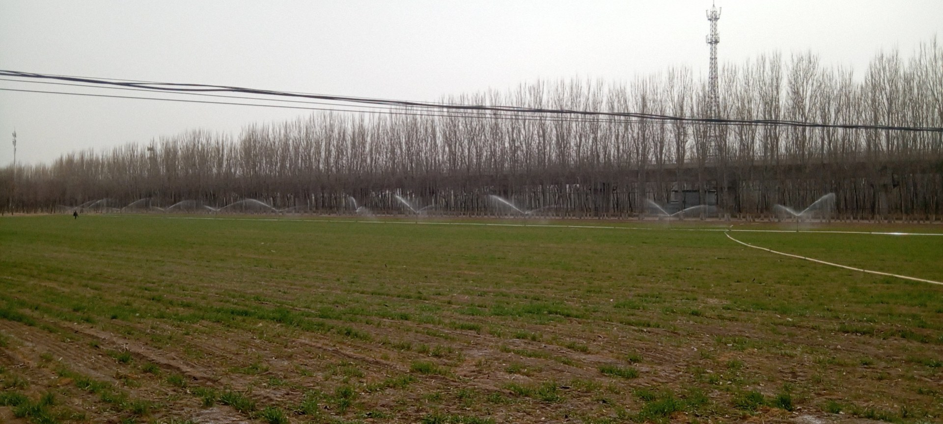 智能滴灌系统在小麦田中的应用