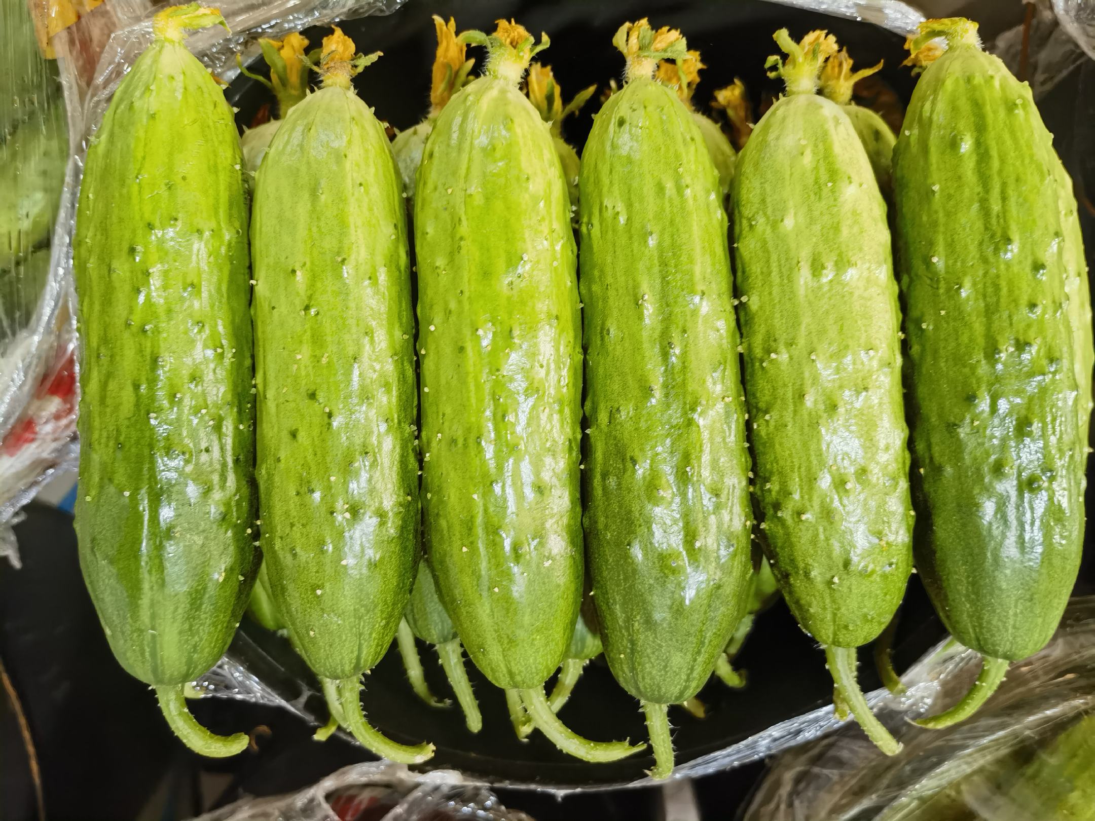 黄瓜西红柿拼盘特写